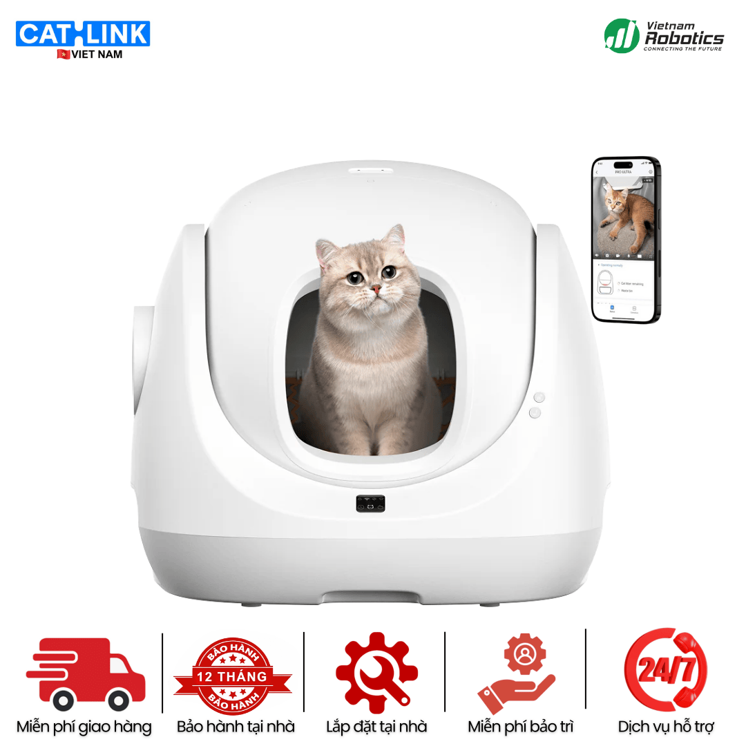 CATLINK Scooper SE - BH 12 Th