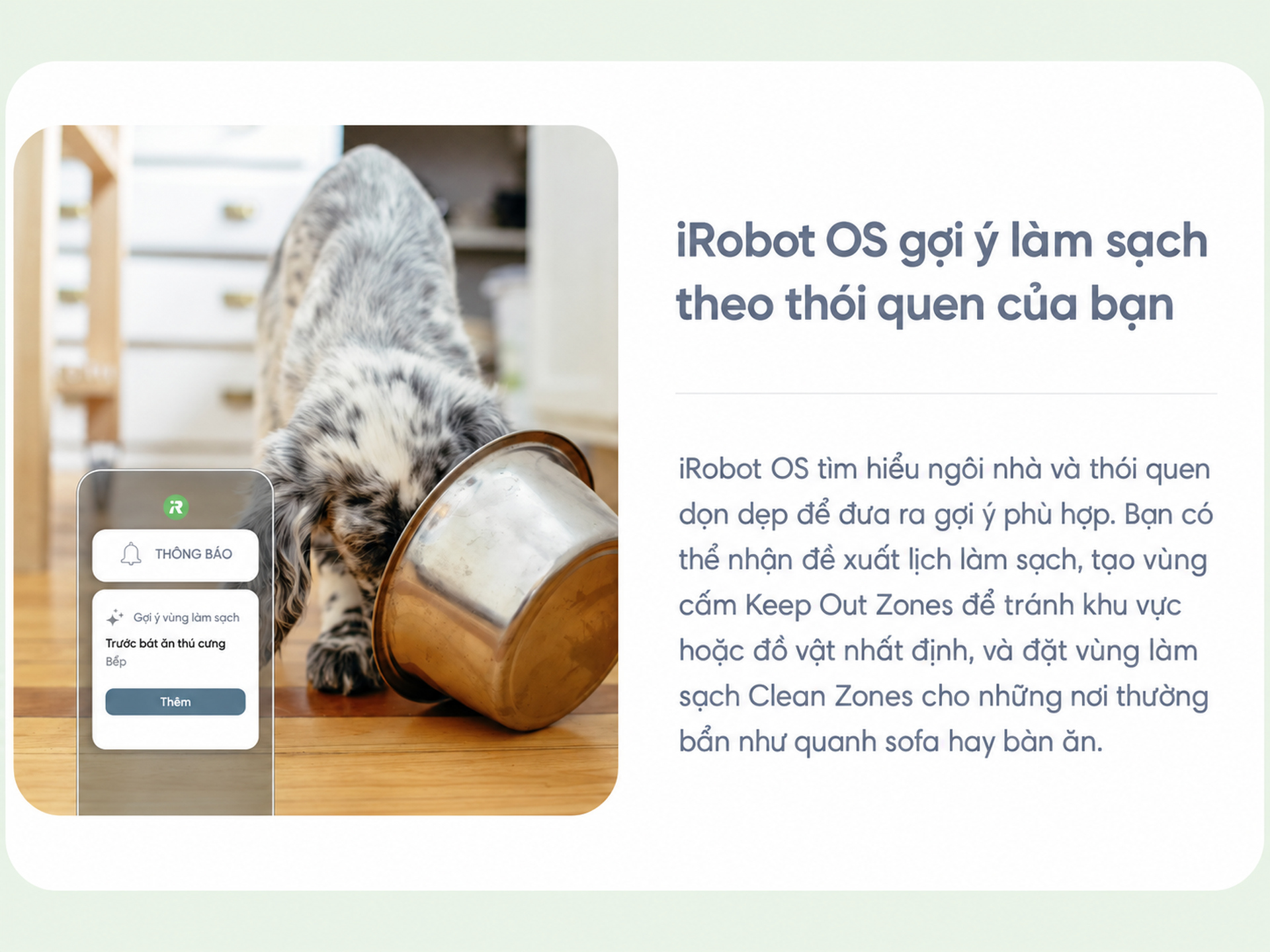 gợi ý cá nhân hoá kế hoạch làm sạch