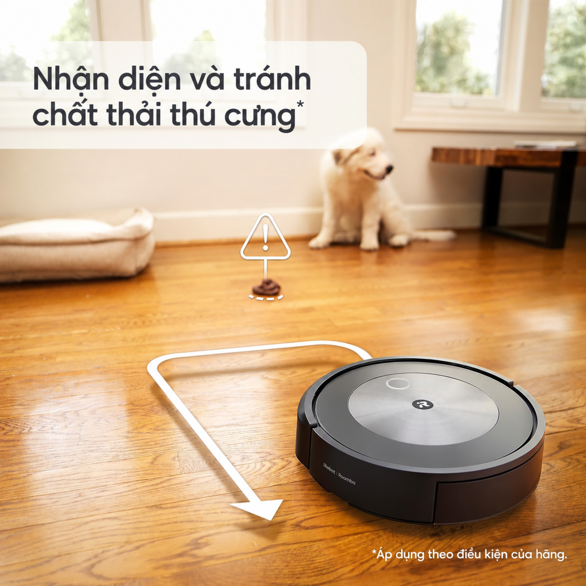 tránh chất thải thú cưng