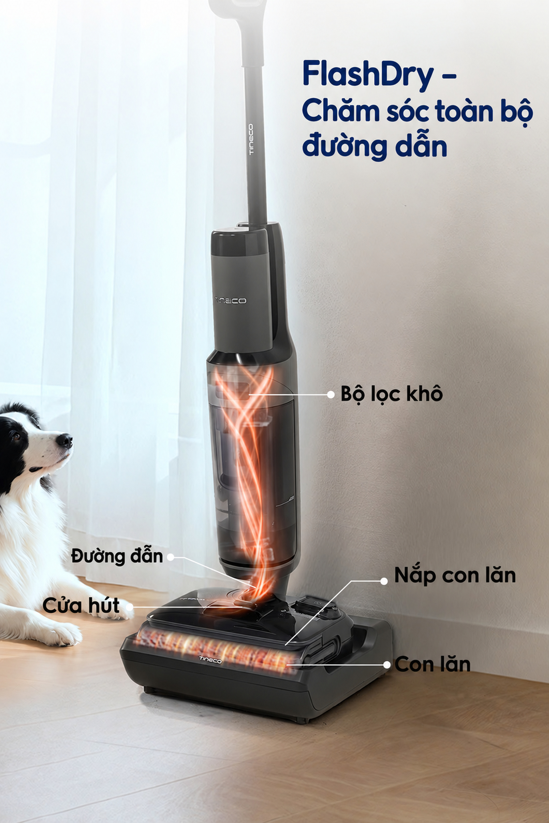 sấy khô, tiệt trùng đường hút