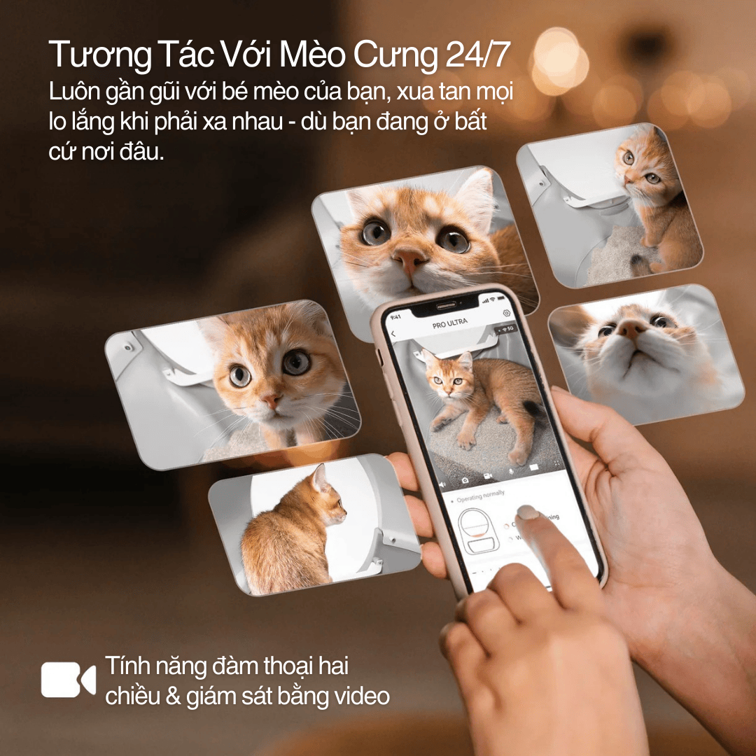 Hộp vệ sinh mèo tích hợp Camera AI 1080P - Luôn nhìn thấy mèo dù bạn ở bất cứ đâu