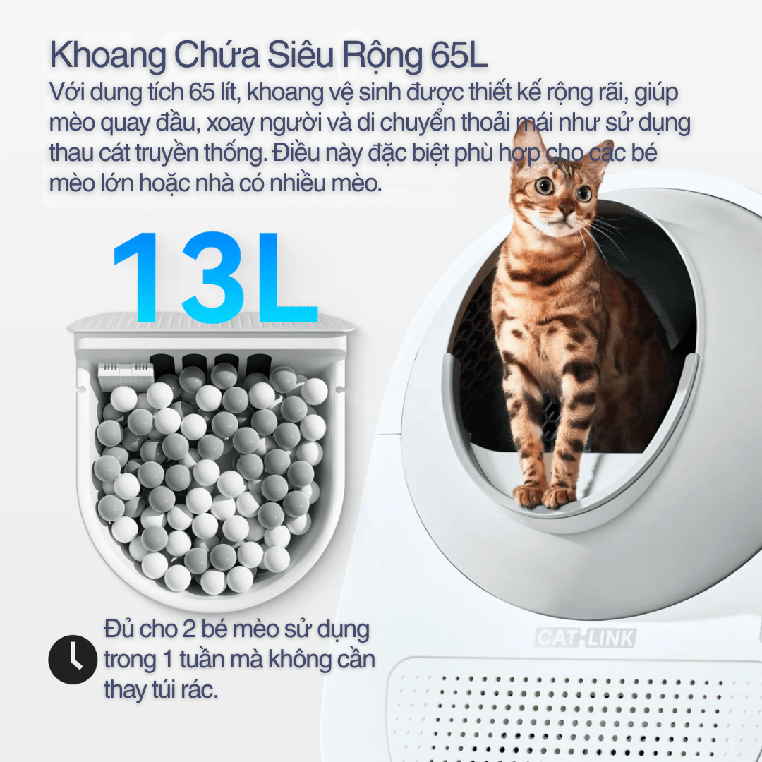 Dung tích cực lớn 65L – Thoải mái cho mèo béo, mèo dài, mèo lớn
