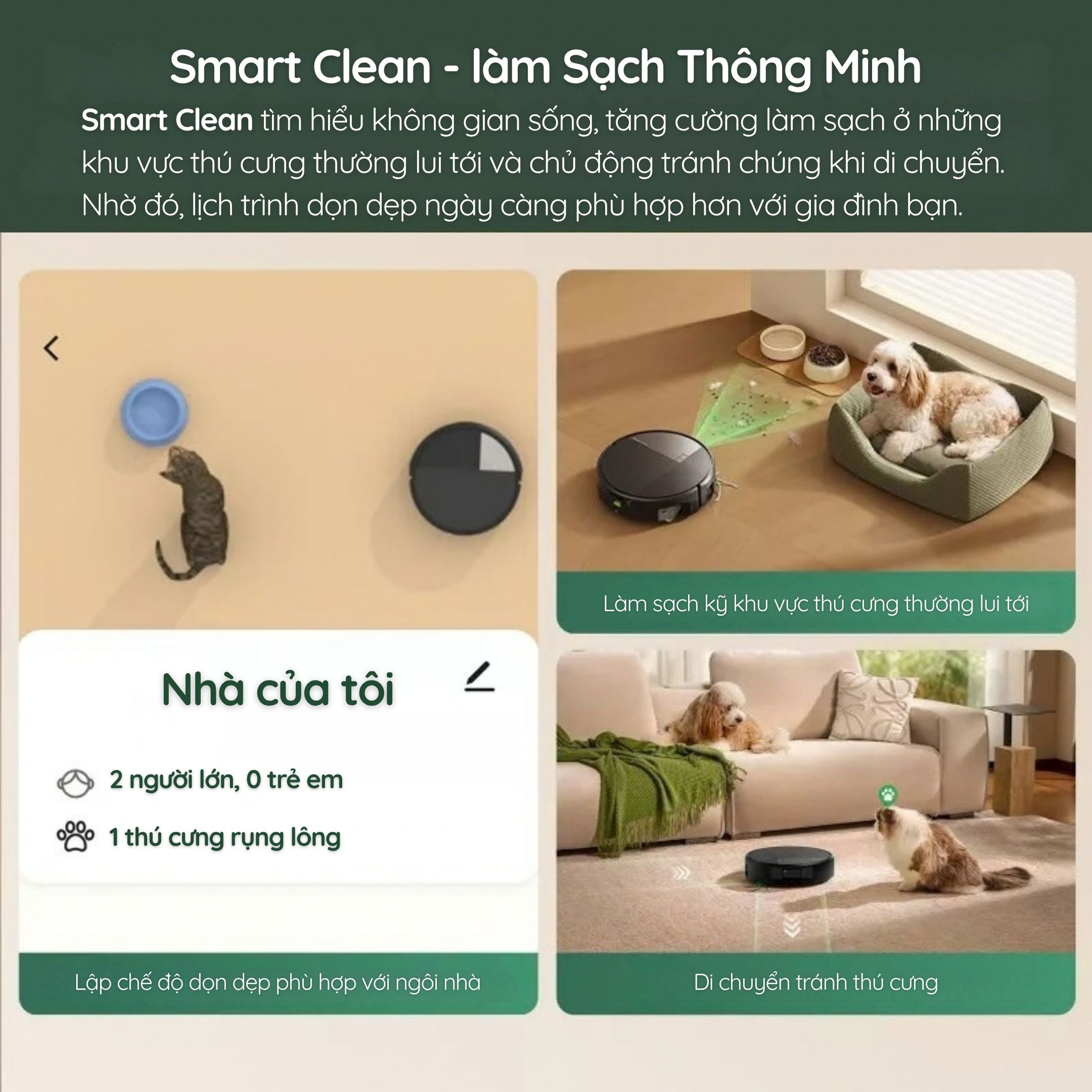 Smart Clean