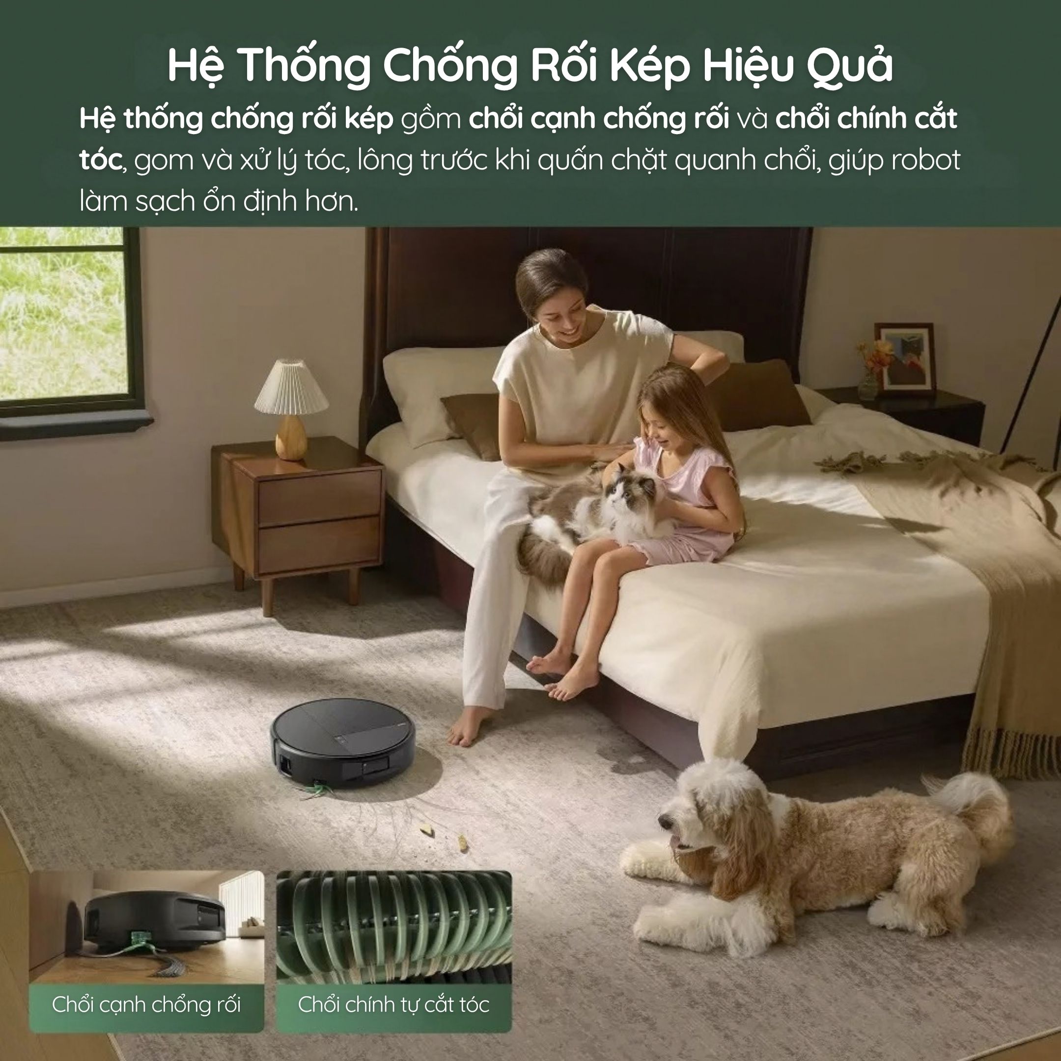 Chống rối tóc: chổi chính tự cắt tóc, chổi cạnh chống rối