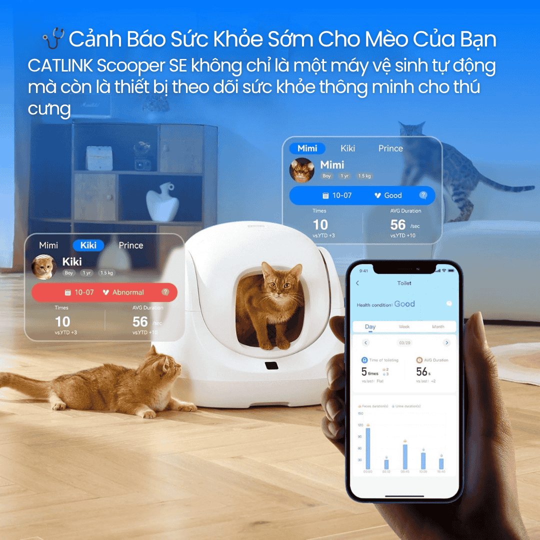 CATLINK Scooper SE - BH 12 Th