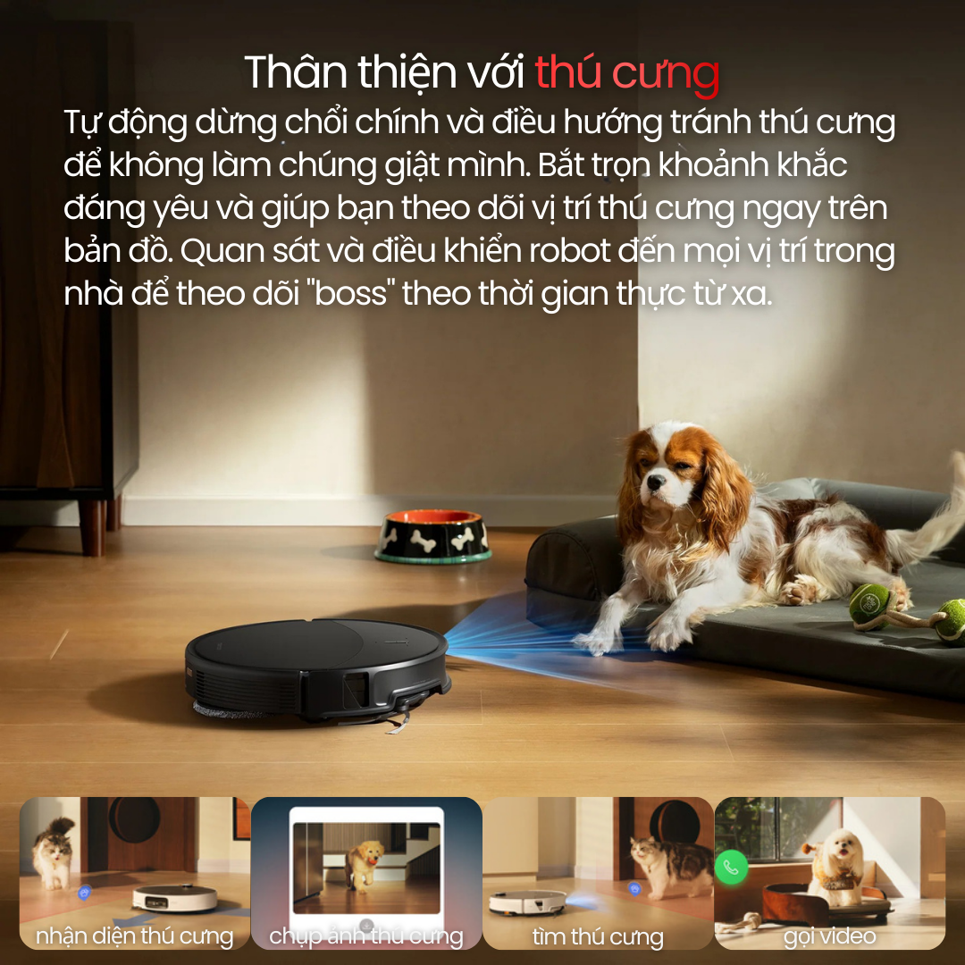 Thân Thiện Với Thú Cưng - Quan Sát Từ Xa Theo Thời Gian Thực