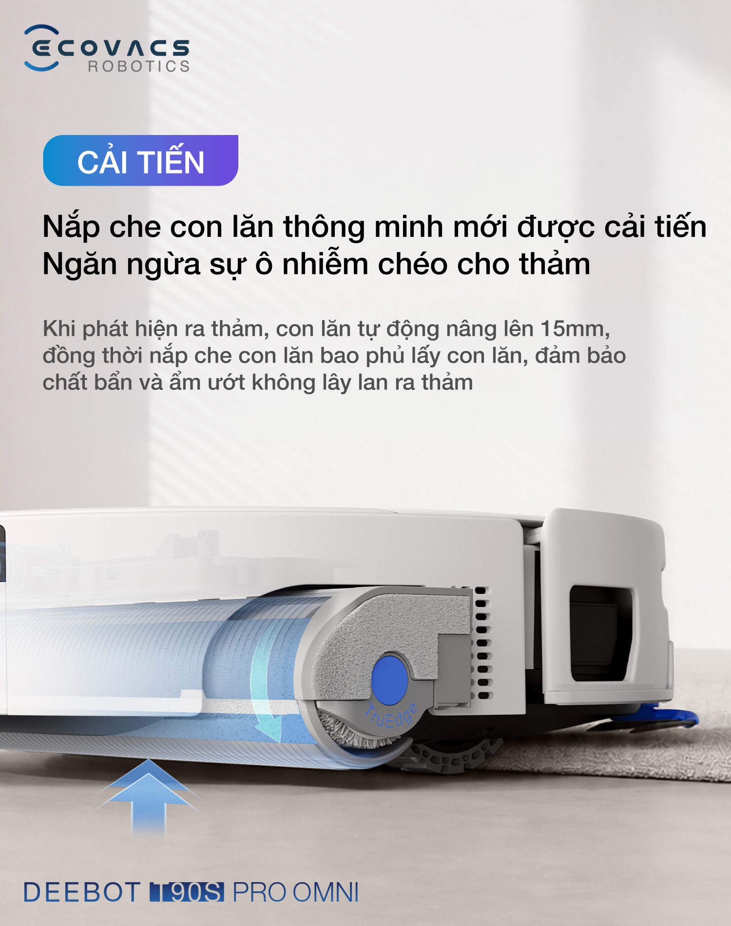 Nắp che con lăn bảo vệ thảm