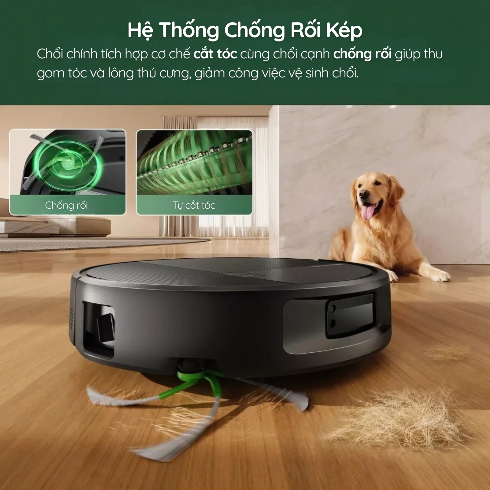 Hệ thống chống rối tóc phù hợp với nhà có thú cưng