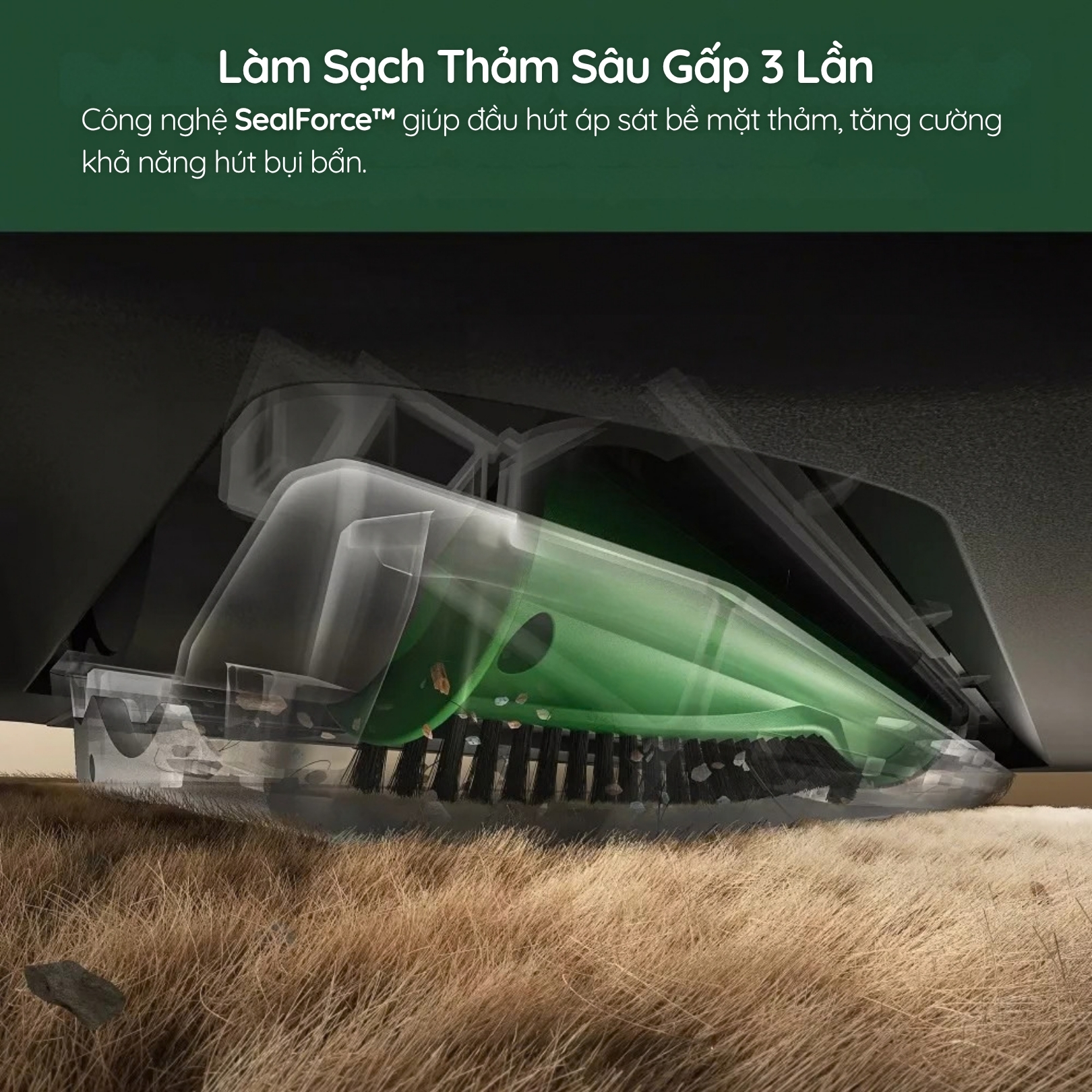 SealForce hỗ trợ làm sạch thảm