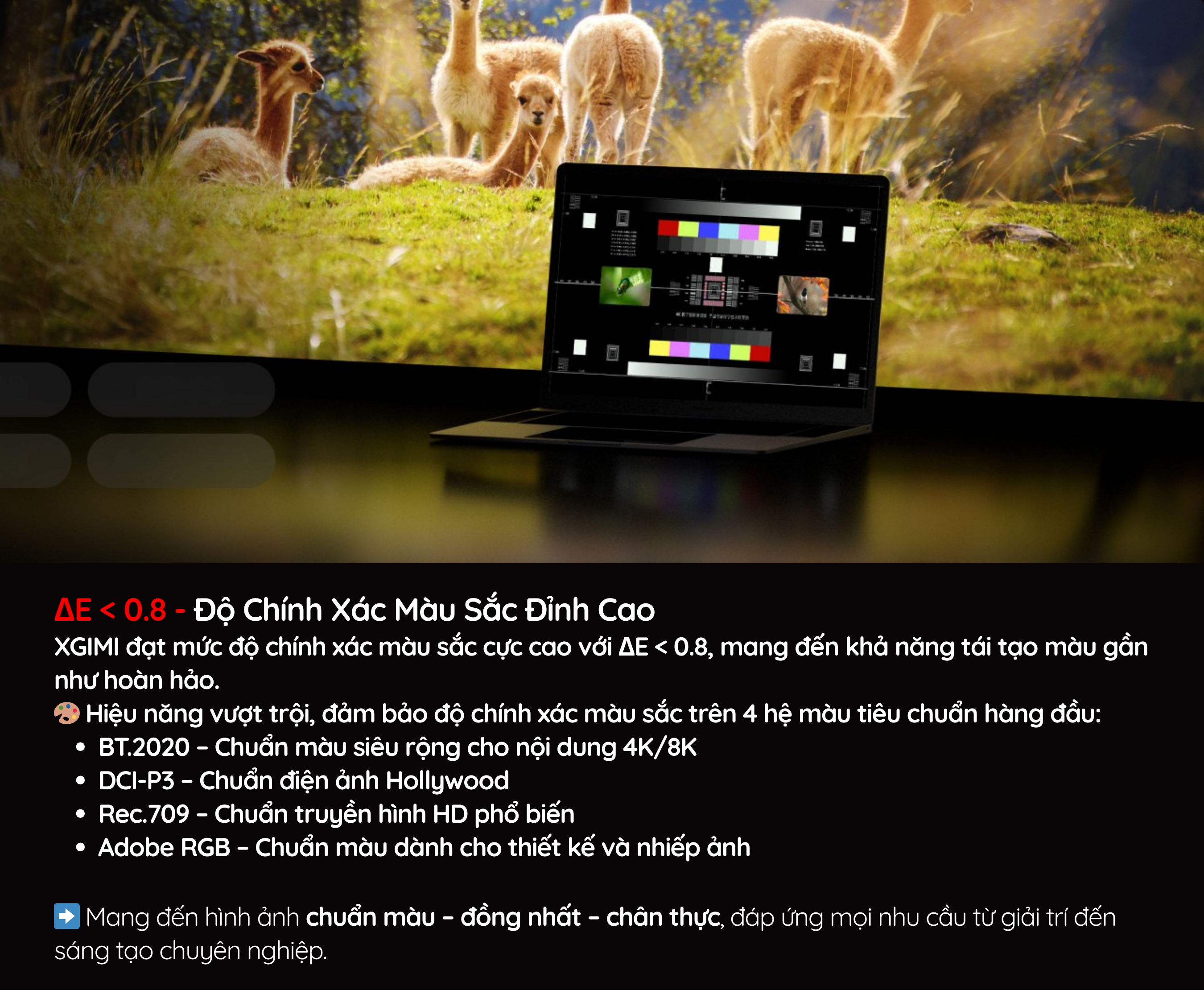 XGIMI đạt mức độ chính xác màu sắc cực cao với ΔE < 0.8, mang đến khả năng tái tạo màu gần như hoàn hảo.