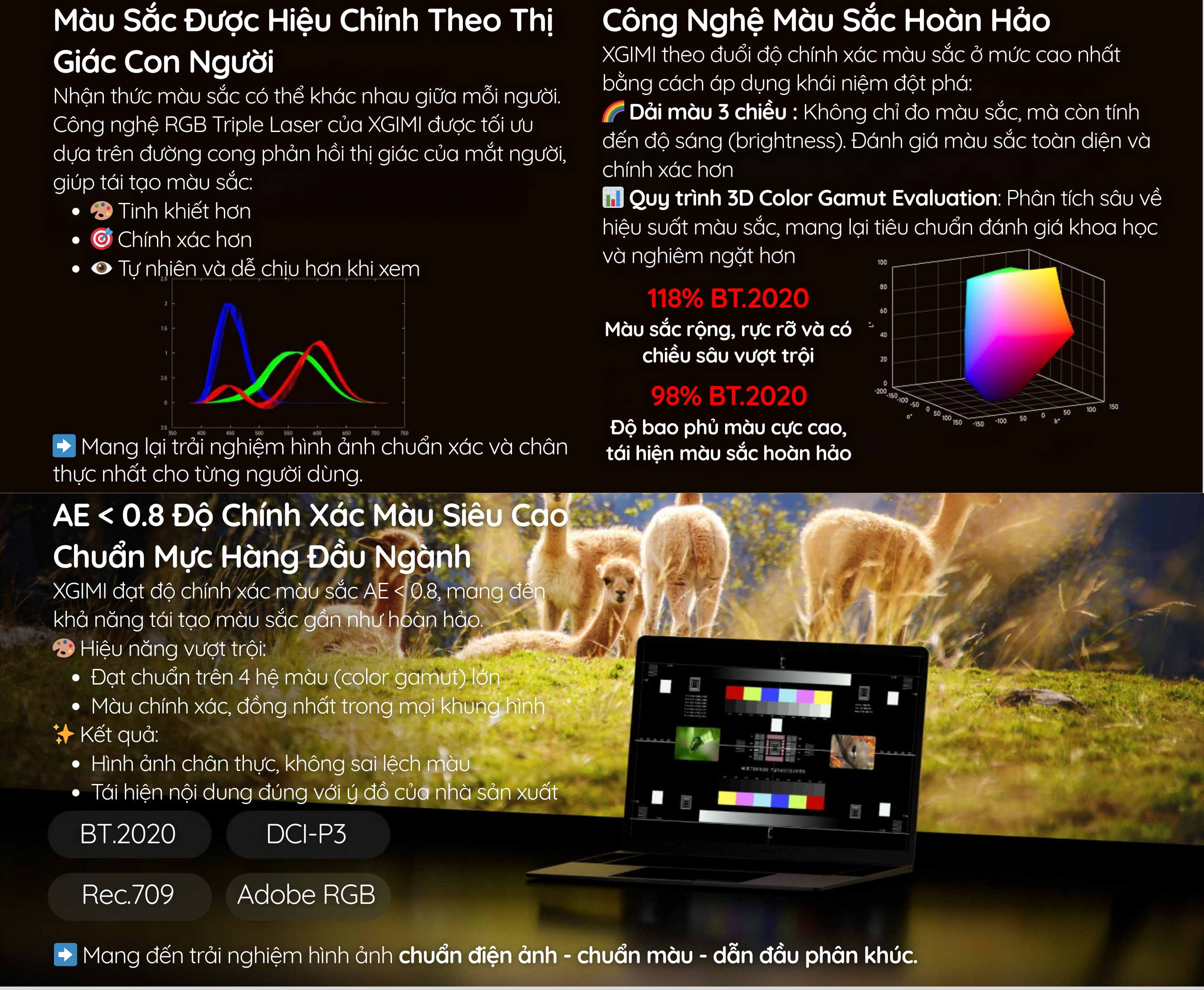 Màu Sắc Được Hiệu Chỉnh Theo Thị Giác Con Người 