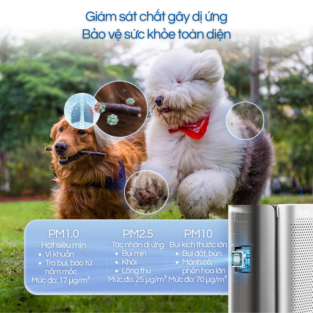 Máy lọc không khí Levoit EverestAir Air Purifier - Giải pháp lọc khí cao cấp cho không gian lớn