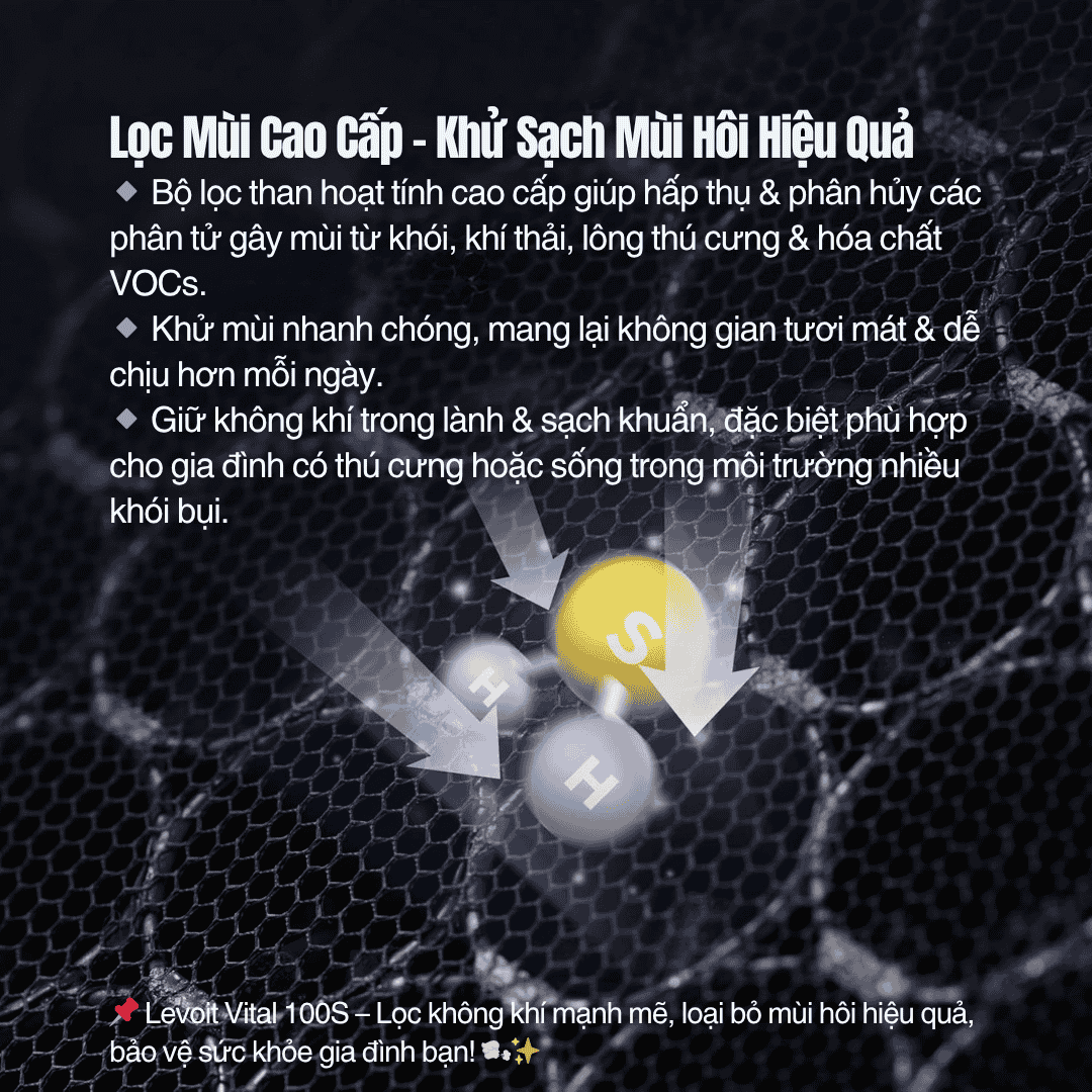 Levoit Vital 100S - Cho Phòng 52 m² - BH 24 Th