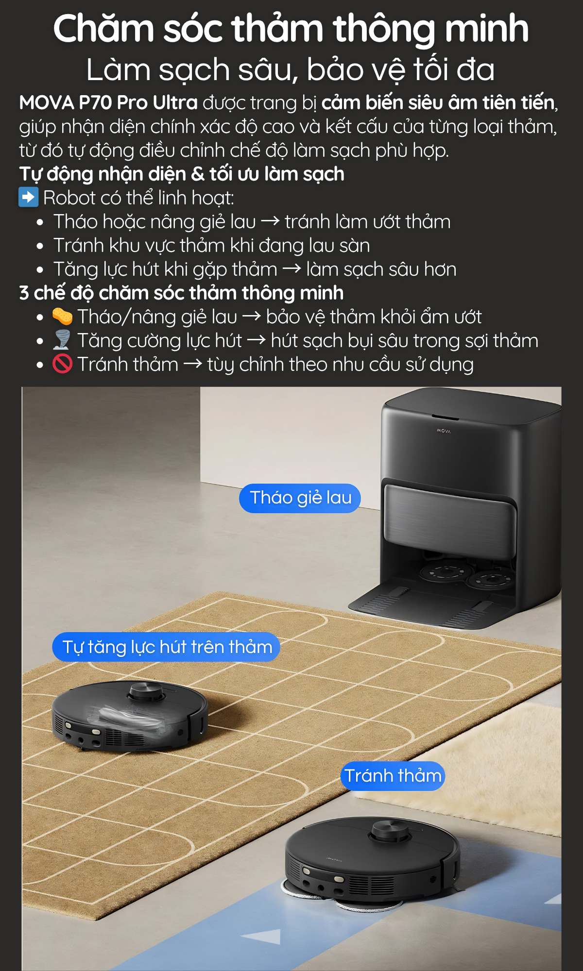 Chăm sóc thảm thông minh Làm sạch sâu, bảo vệ tối đa