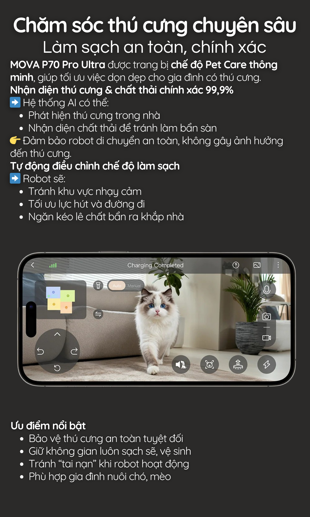 Chăm sóc thú cưng chuyên sâu Làm sạch an toàn, chính xác